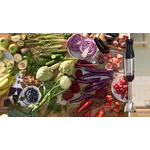 Погружной блендер 1000 ватт (+насадка для измельчения льда, измельчитель, венчик, стакан) - миниатюра 10